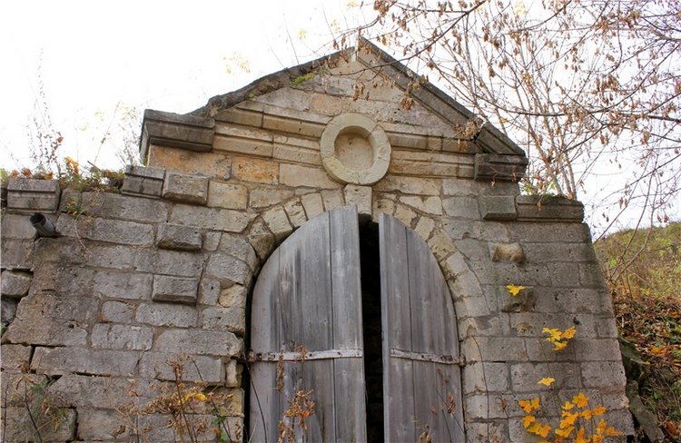 Осеннее путешествие с Мишей. Zwergnase Mischa | Бэйбики Осеннее путешествие с Мишей. Zwergnase Mischa (фото 6)