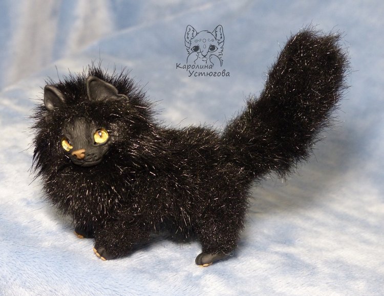 Кот породы Мейн-ку́н, черный. Я к удаче (фото 2)