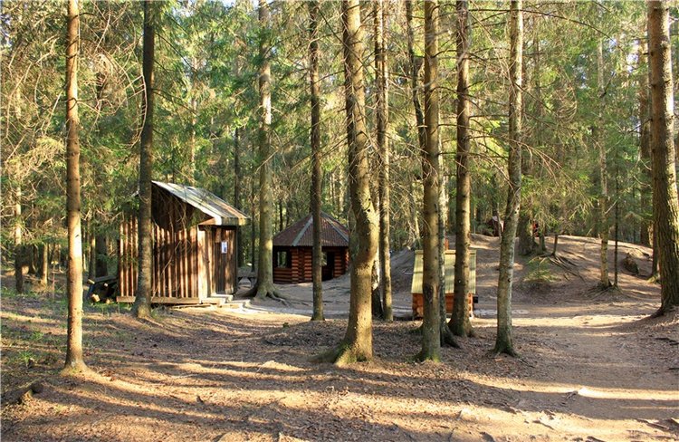 Джиджи на Орше. BJD Gigi от Meadow Dolls