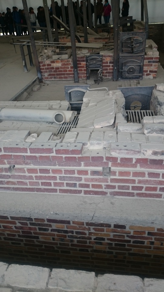 Спасибо Вам за смелость и отвагу, за небо мирное над головой