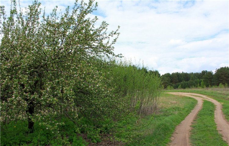 Женя-путешественница — Советские винтажные куклы (СССР): Ленигрушка