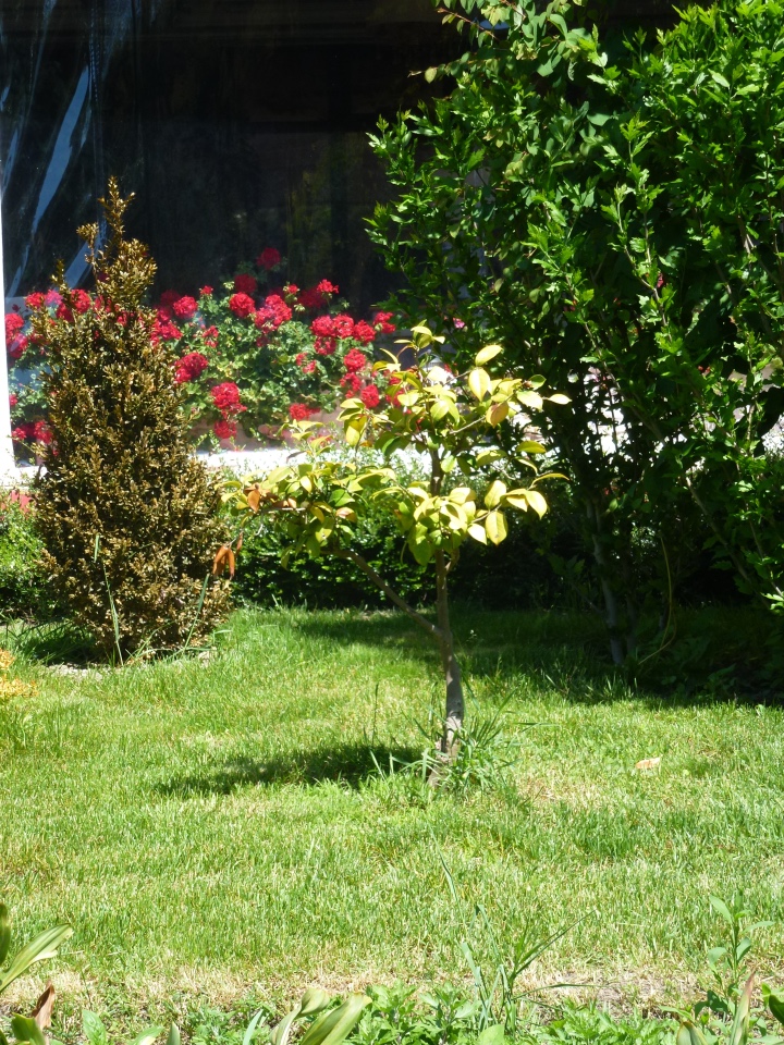 Сочи-Адлер: Южное Взморье - виртуальное путешествие по территории санатория