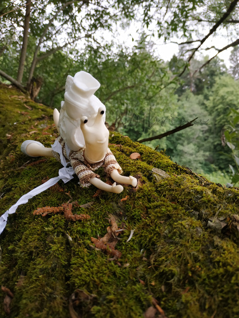 Wonderfrog. Красота в простоте