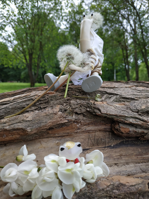 Wonderfrog. Красота в простоте