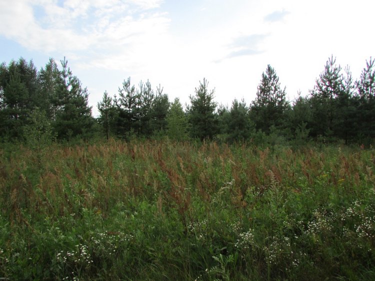 Путешествие в Нижегородскую область - часть 2 - Размещение в деревушке и прогулка по окресностям