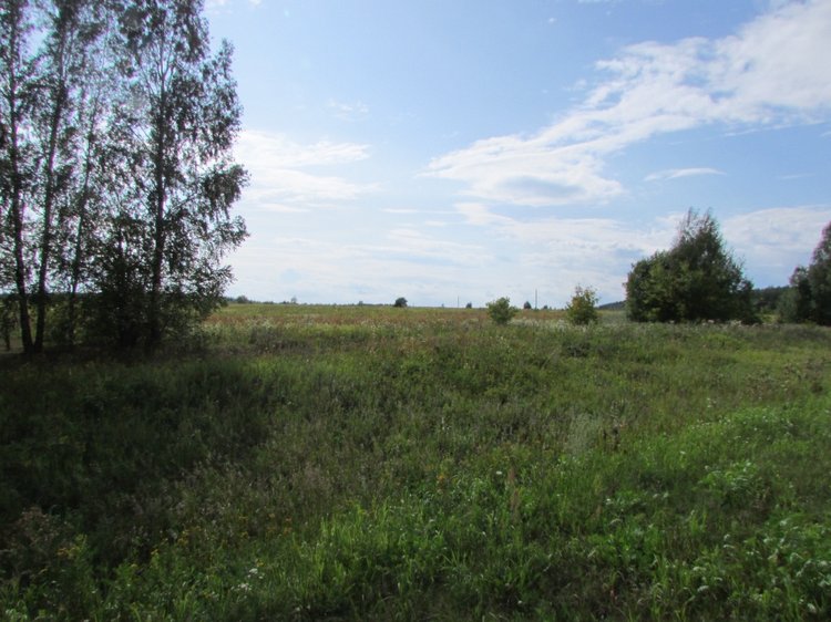 Путешествие в Нижегородскую область - часть 2 - Размещение в деревушке и прогулка по окресностям