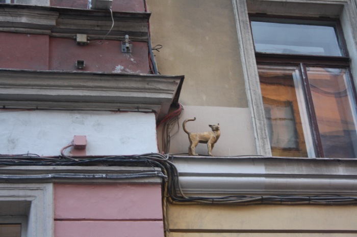 Петербург. Прогулка по крышам. Котокафе. Старые слайды