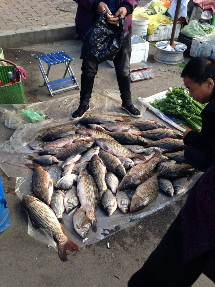 Прогулка по Китаю-2 (обзор цен на игрушки, животных, шмотки, еду)