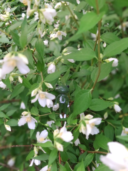 Лето с лягушками — Коллекционные куклы разных авторов (Разное): редкие бренды
