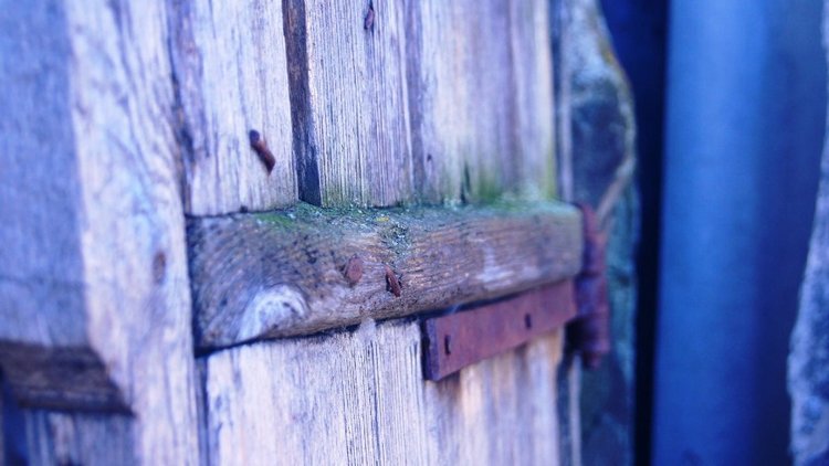 Лето - это маленькая жизнь