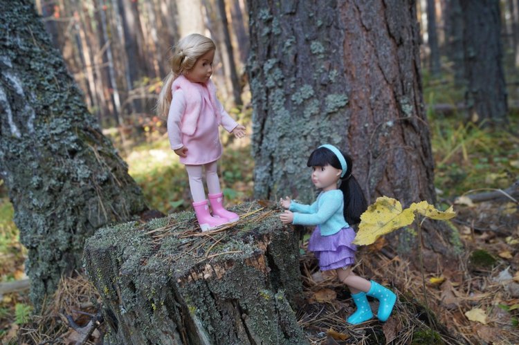 Хотите прогуляться по нашему городу? А за город - по экологической тропе