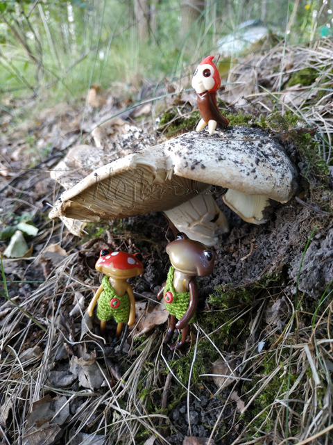 Wonderfrog. Красота в простоте. Часть 2 (фото 5)