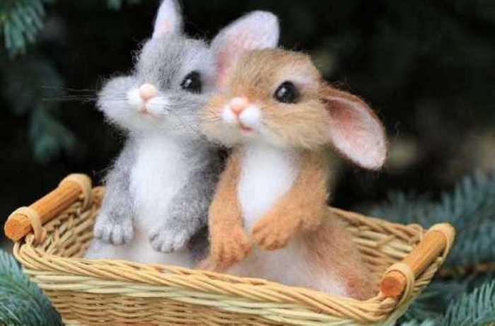 Ожившие зверушки, реализм и эстетика (фото 5)