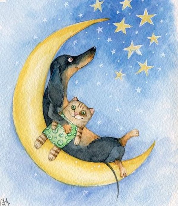 Предновогодние денёчки! Улыбнёмся вместе! Смешные таксы Инги smG