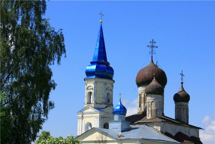 Иванишинская сосна — Культура