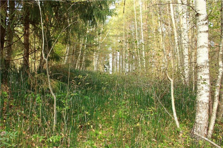 "Бабье Лето" на Водопаде, продолжение