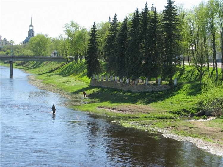 Одуванчиковая нежность, прогулка по Торжку