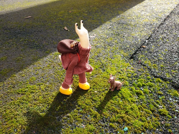 Лягушка Ванда и все-все-все