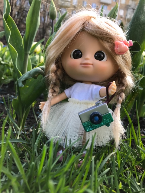 Как мы фотографировали улитку с Mui-chan