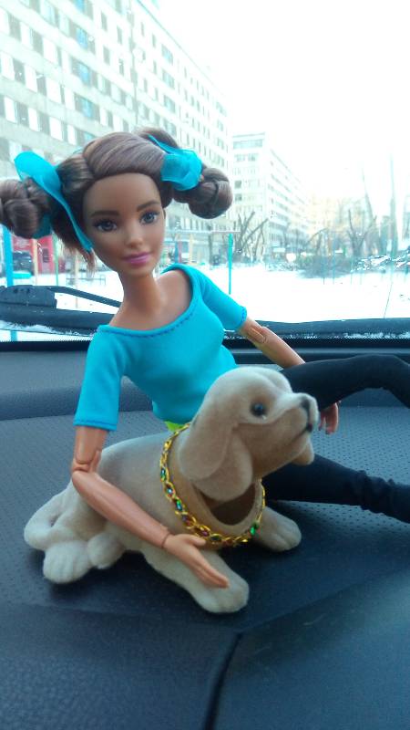 Барби-йога, здоровый образ жизни (фото 3)