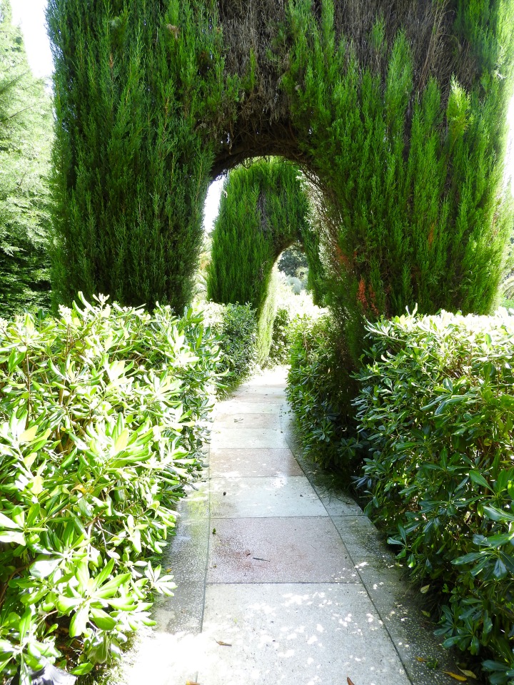 Краснодарский Край, Сочи-Адлер, Санаторий «Южное Взморье»