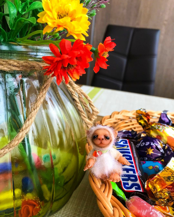 Сахарок. Авторский малыш Виктории Грубовой (фото 8)