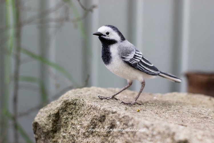 Белая трясогузка — Валяные игрушки из шерсти: сухое валяние (фото 8)