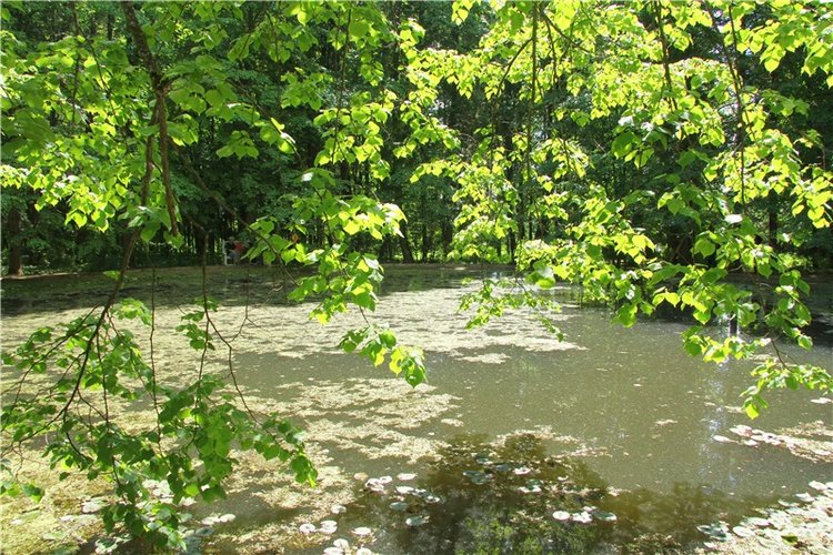 Я ехал к Вам! Пушкинский праздник в Берново, 2018 год