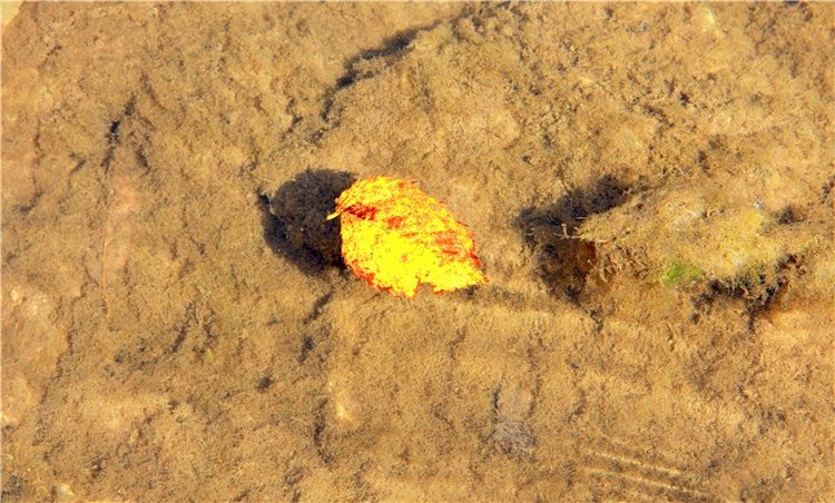 Старицкая Швейцария. Путешествие с Сашей, продолжение. Уникальная кукла от Сильвии Наттерер