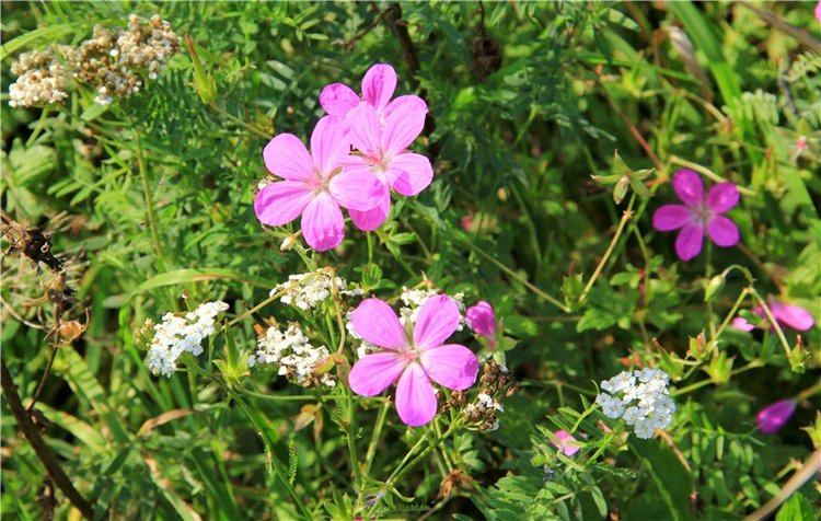 Старицкая Швейцария. Путешествие с Сашей, продолжение. Уникальная кукла от Сильвии Наттерер