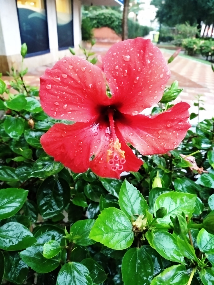 Тайна моего имени. Часть седьмая. Испания, Малага. Первые восторги и разочарования (фото 7)