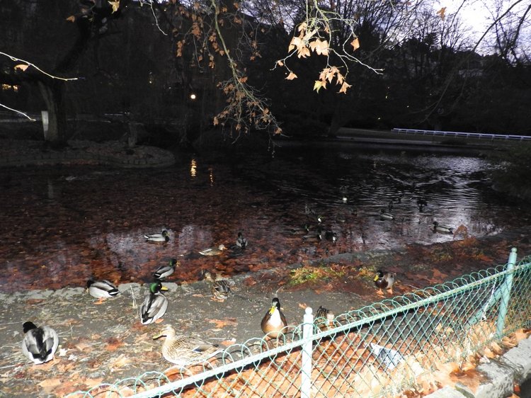 Чехия: Карловы Вары и малыш Степашка