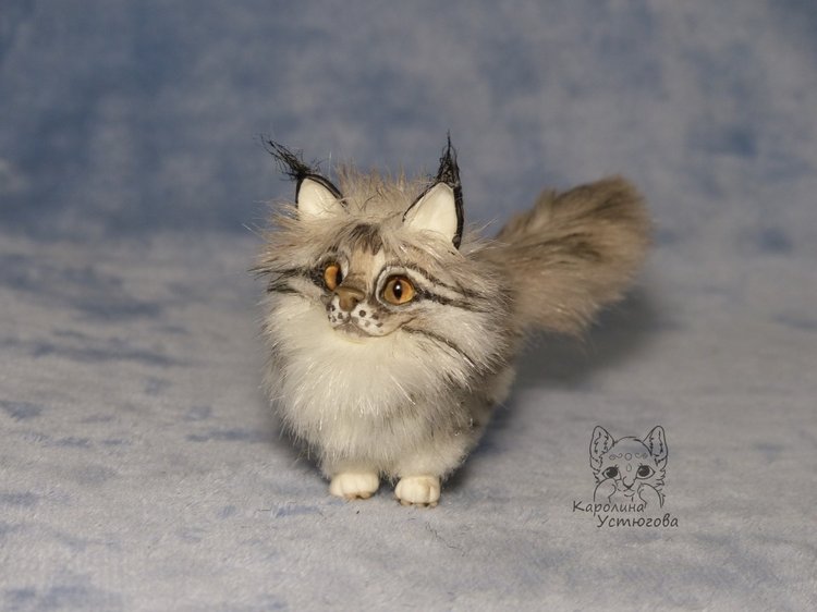 Мейн-ку́н, миниатюра. Серебристый окрас