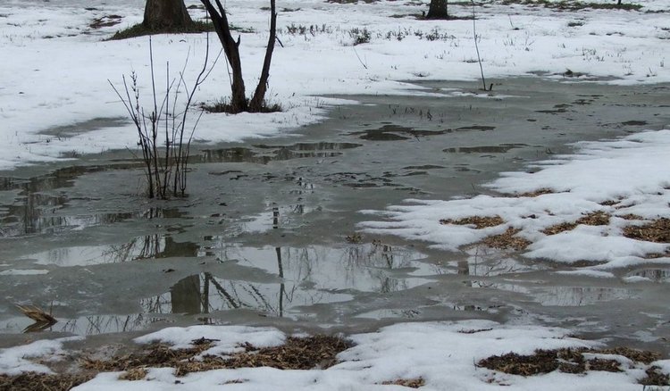 30 марта — народный праздник Алексей Теплый