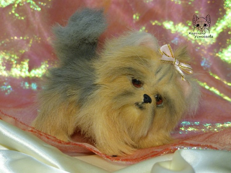 Еще один щенок Йоркширского терьера (фото 7)