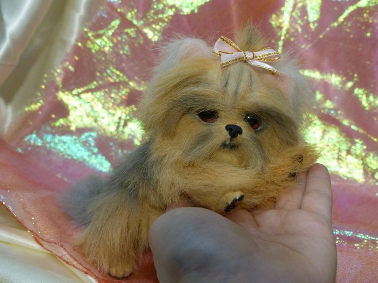 Еще один щенок Йоркширского терьера