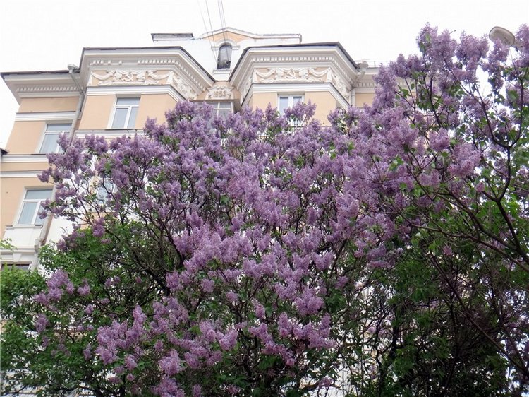 Милый мой город. Прогулка по Твери, продолжение