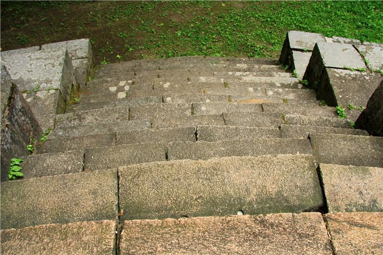 Путешествие с Бенни — Культура