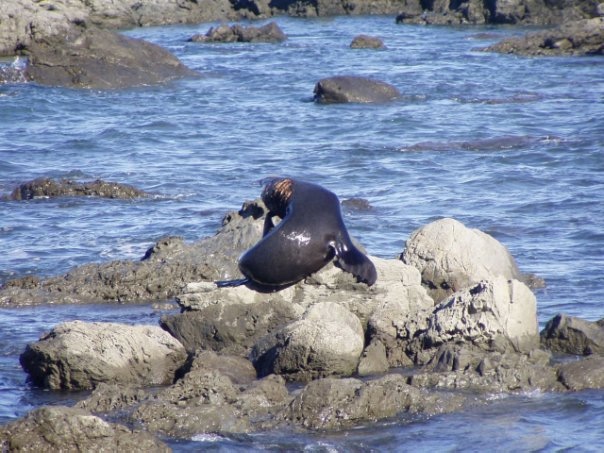 Увлекательное путешествие по Новой Зеландии