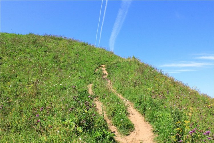 Подарок для Бенни | Бэйбики Подарок для Бенни — Куклы Iplehouse (Иплхаус): BJD (БЖД)