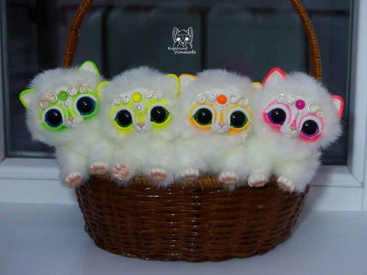 Королевские волшебные коты, породы: Мирис. В кадре и за кадром. Процесс (фото 3)