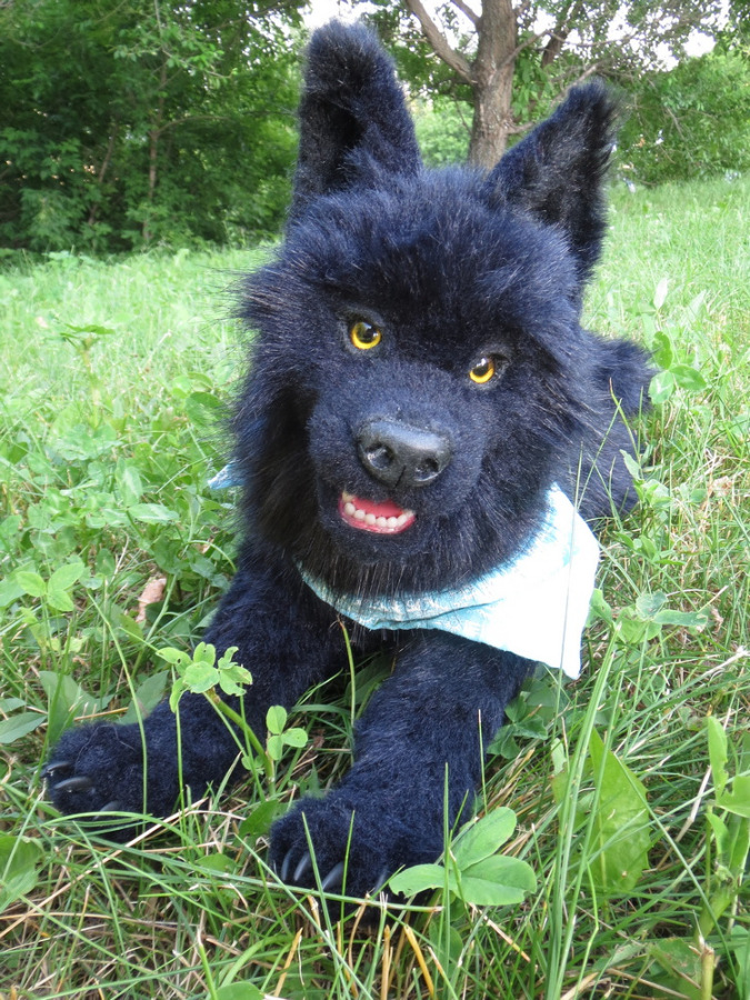 Мой домашний волчок — Домашние фото авторских игрушек: Тедди (фото 3)