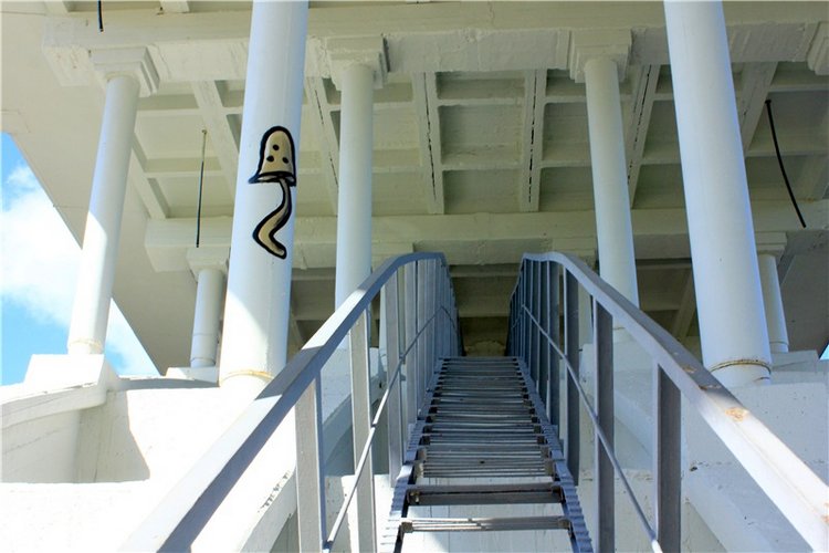 Тайны Древней Старицы — Культура