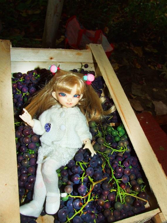 Линка и Иришка - сборщицы винограда | Бэйбики Линка и Иришка - сборщицы винограда