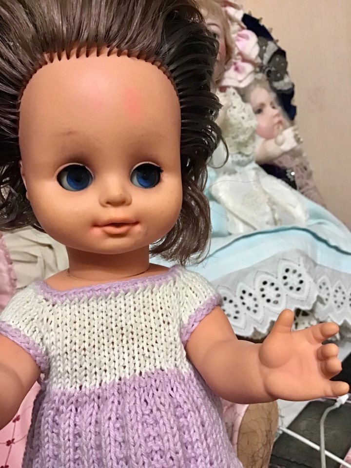 Хрупкая незабудка. Нужна помощь в опознании