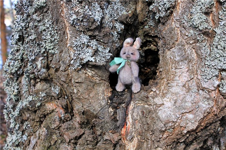 Весна в "Саду Камней" | Бэйбики Весна в "Саду Камней" — Куклы Meadow dolls (Медовушки): BJD (БЖД)