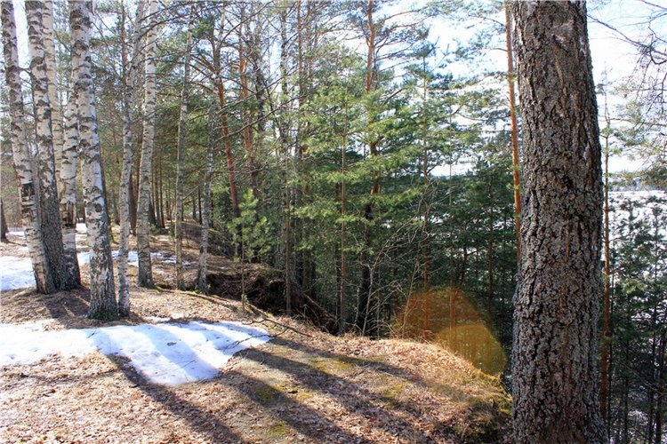 Весна в "Саду Камней" | Бэйбики Весна в "Саду Камней" — Куклы Meadow dolls (Медовушки): BJD (БЖД)