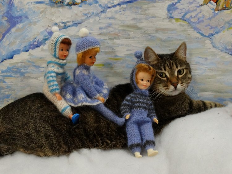 Кото-фото — В мире животных: смешные фото питомцев и зверей (фото 4)