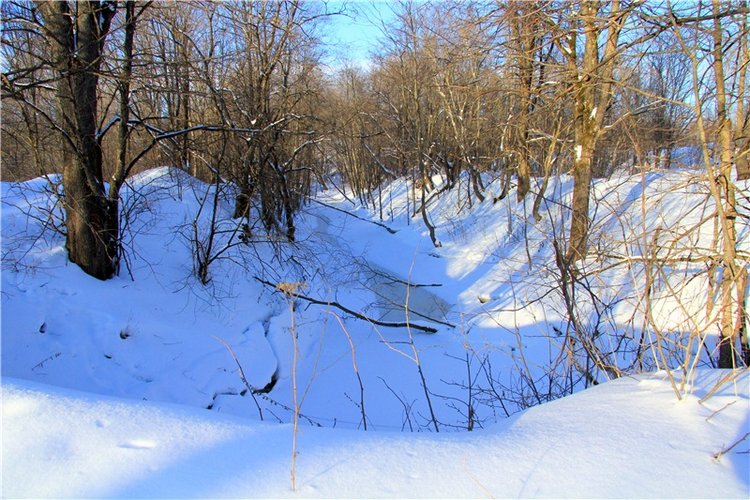 Зимняя прогулка Сони. Уникальная кукла от Сильвии Наттерер