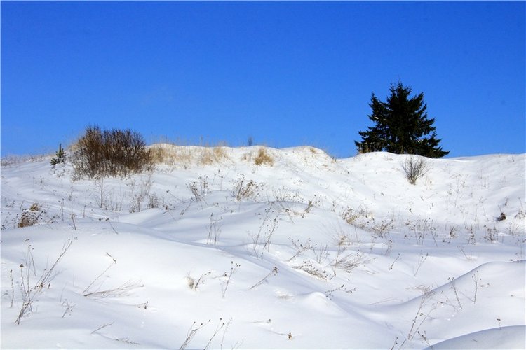 Зимняя прогулка Сони. Уникальная кукла от Сильвии Наттерер